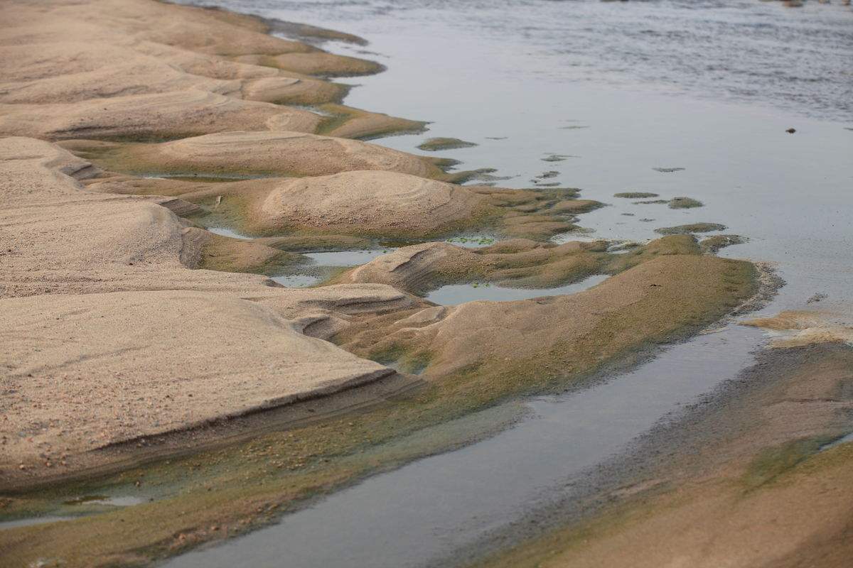 河沙开采